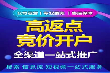 行业领先企业的SEM广告策略与效果分析